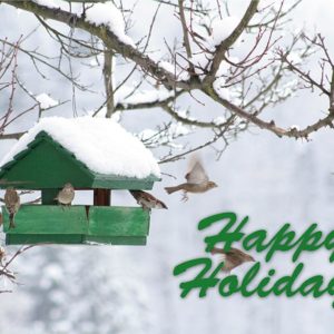 Happy Holiday