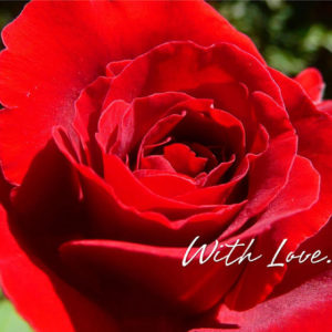 With Love