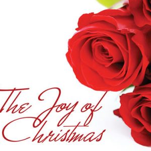 Christmas Slide 03